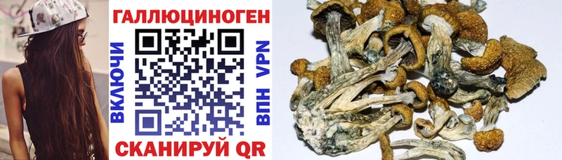 Галлюциногенные грибы прущие грибы  купить наркоту  мега рабочий сайт  Грязи 