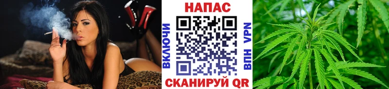 Бошки Шишки конопля  закладки  Грязи 